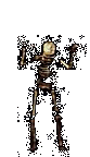 skell.gif - 83960 Bytes